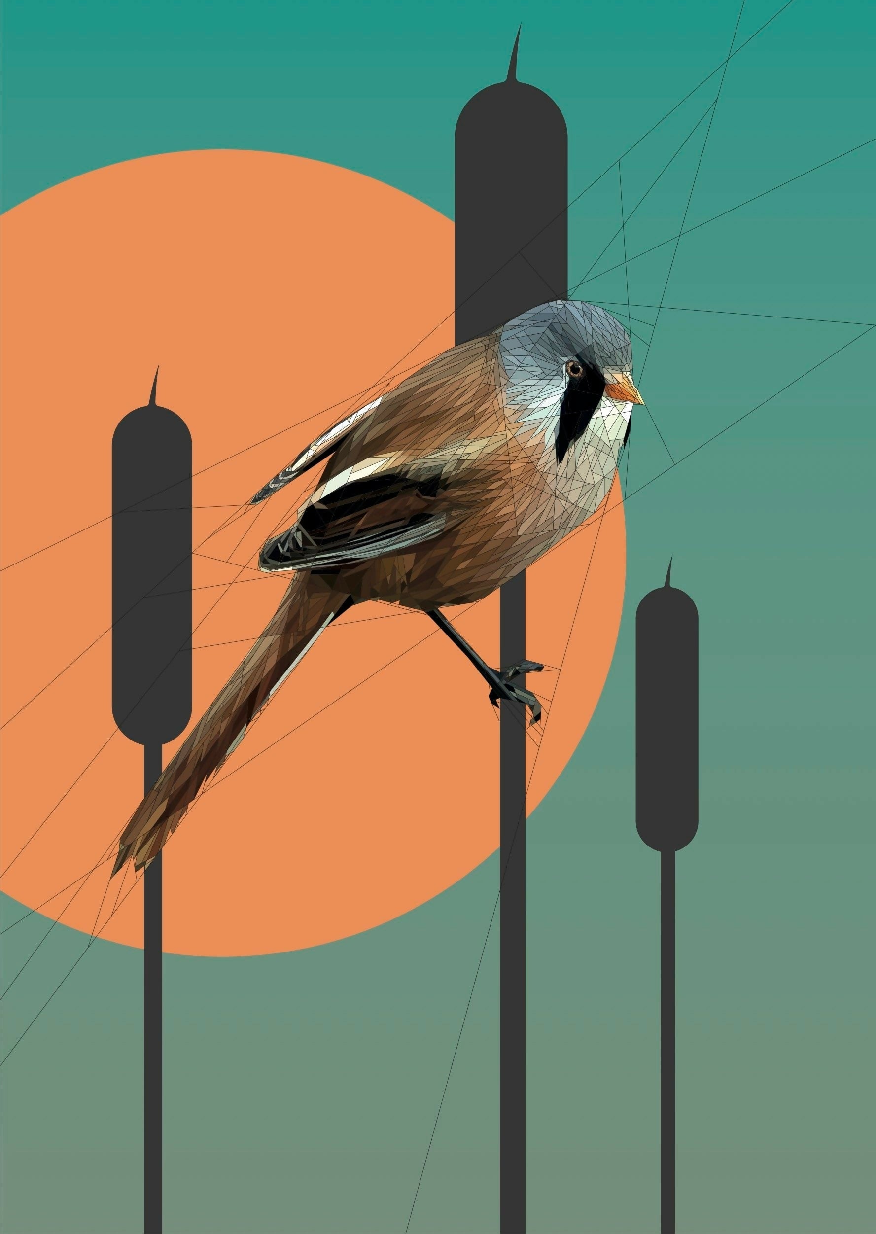 The Bearded Tit - hanging out in the reeds - Giclee Print