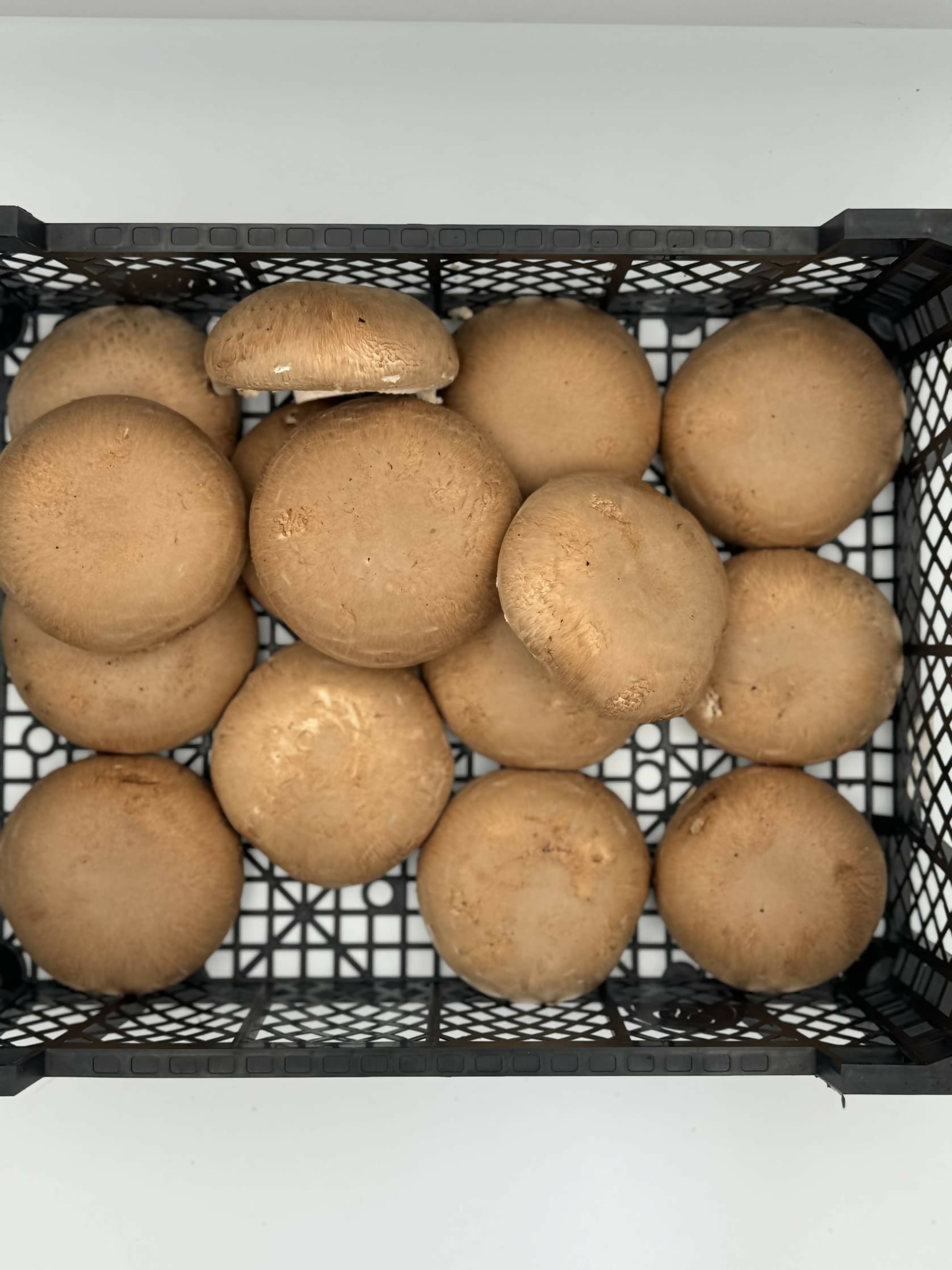 Portobello mushrooms (per kg)