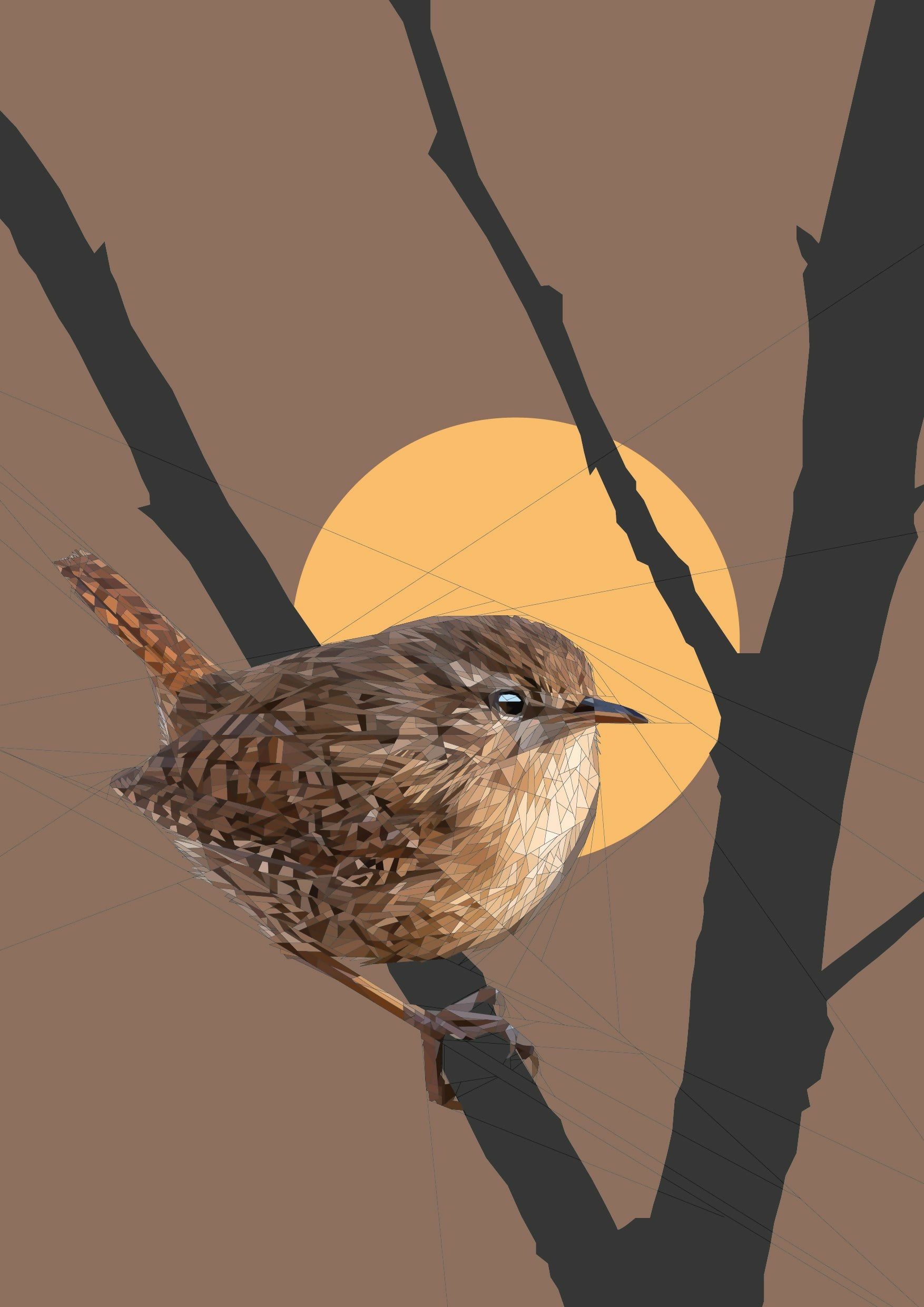 Tiny Brown Wren on a Branch A3 / A2 / A1 Giclee PrintTiny Brown Wren on a Branch A3 / A2 / A1 Giclee Print