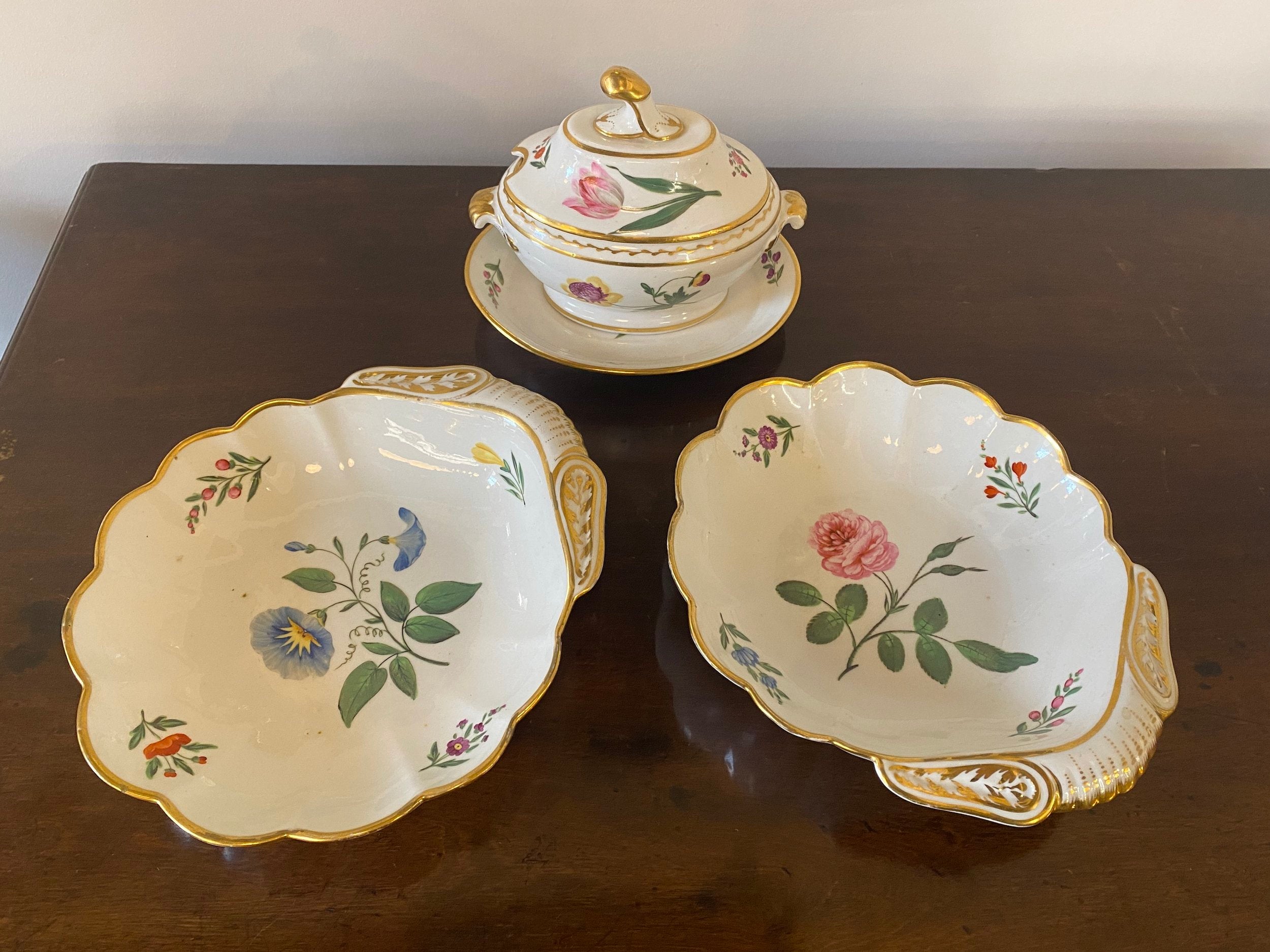 COALPORT ANTIQUE PORCELAIN DESSERT DISHES & TUREEN IN BOTANICAL PATTERN CIRCA 1820