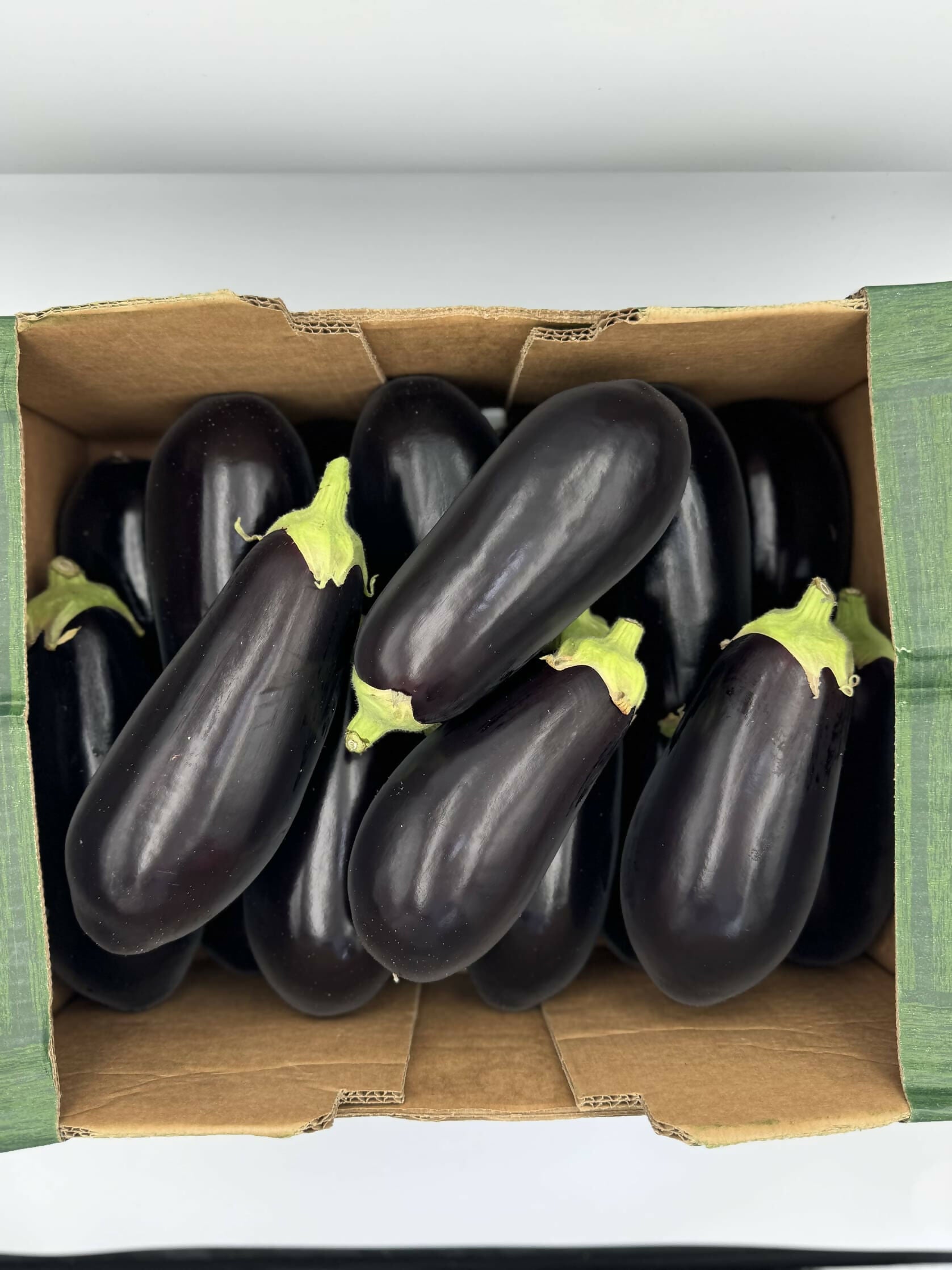 Aubergine