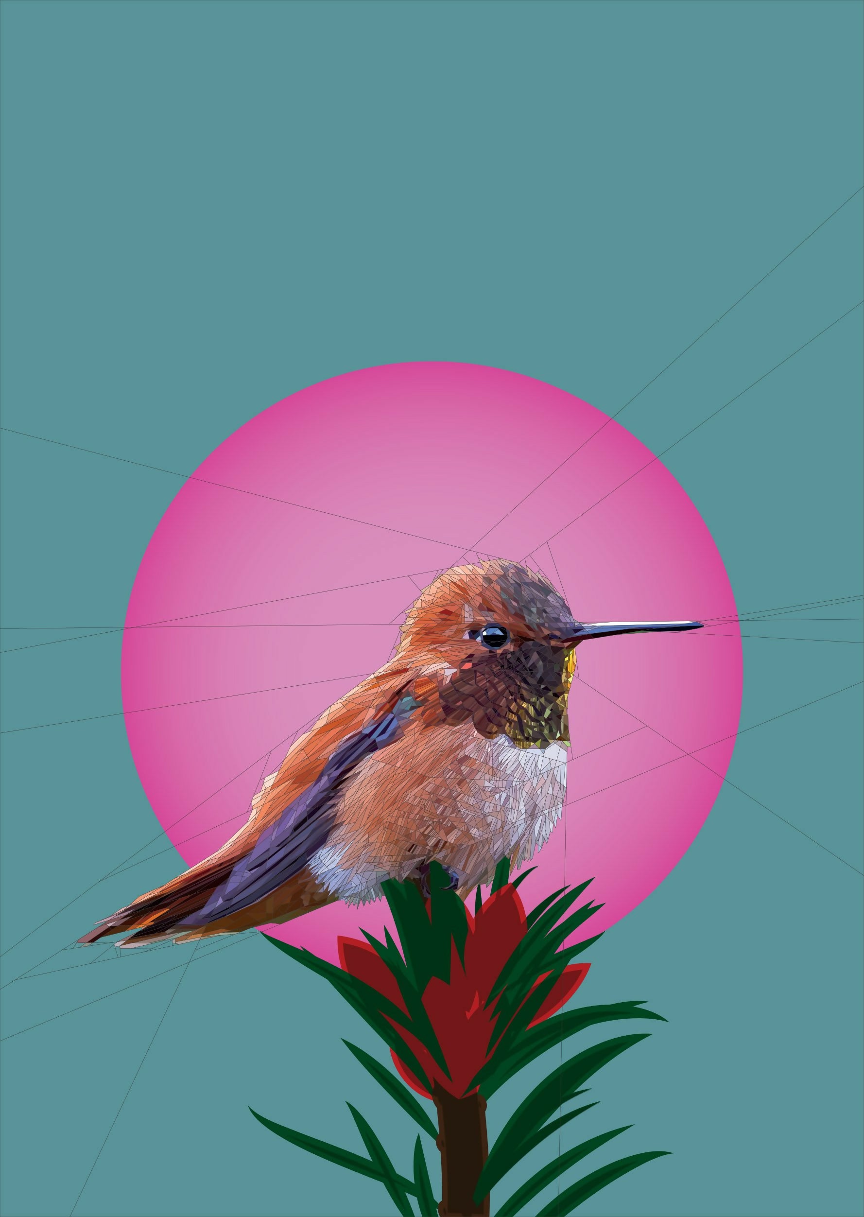 The Cute and Adorable Rufous Hummingbird A3 / A2 / A1 Giclee Print