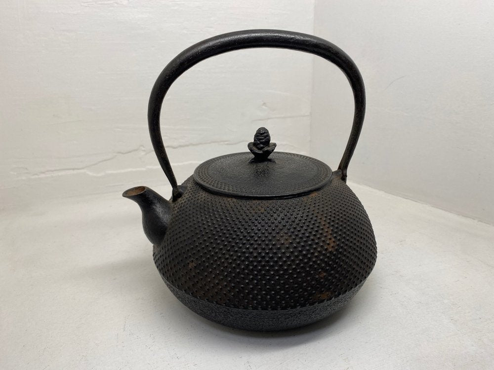 JAPANESE TETSUBIN CAST IRON KETTLE CIRCA 1900