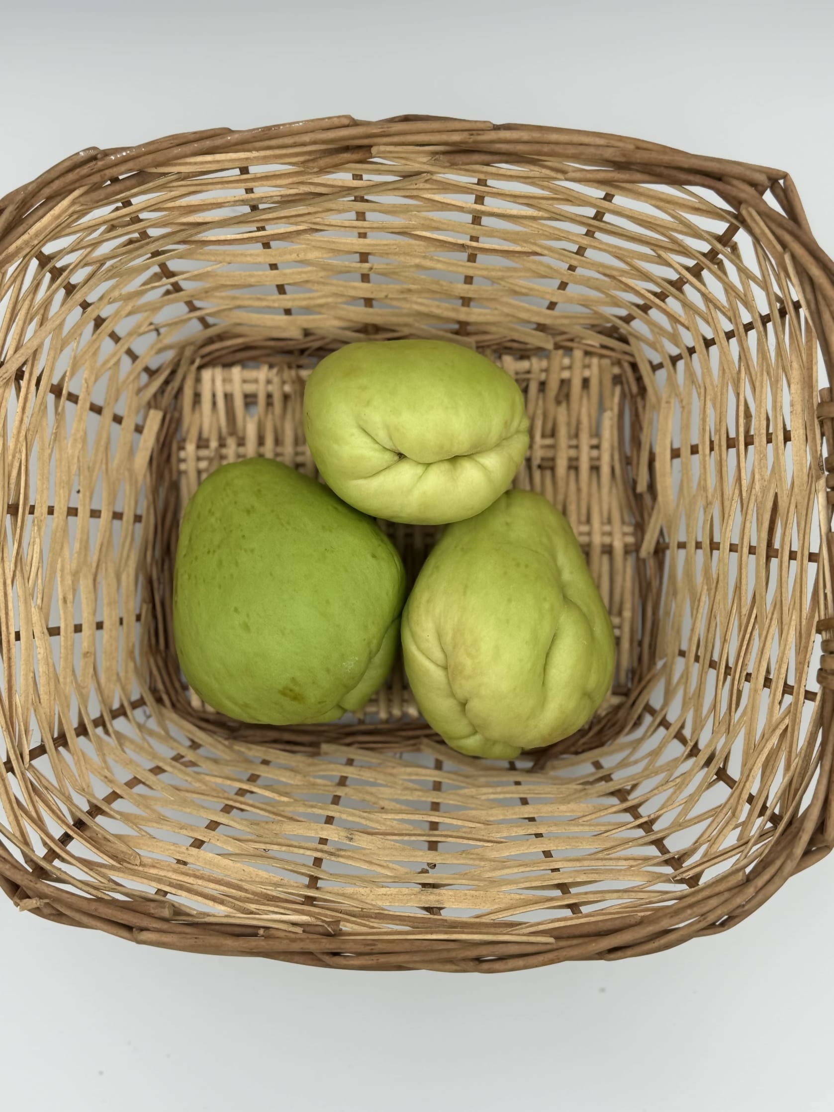 Chayote