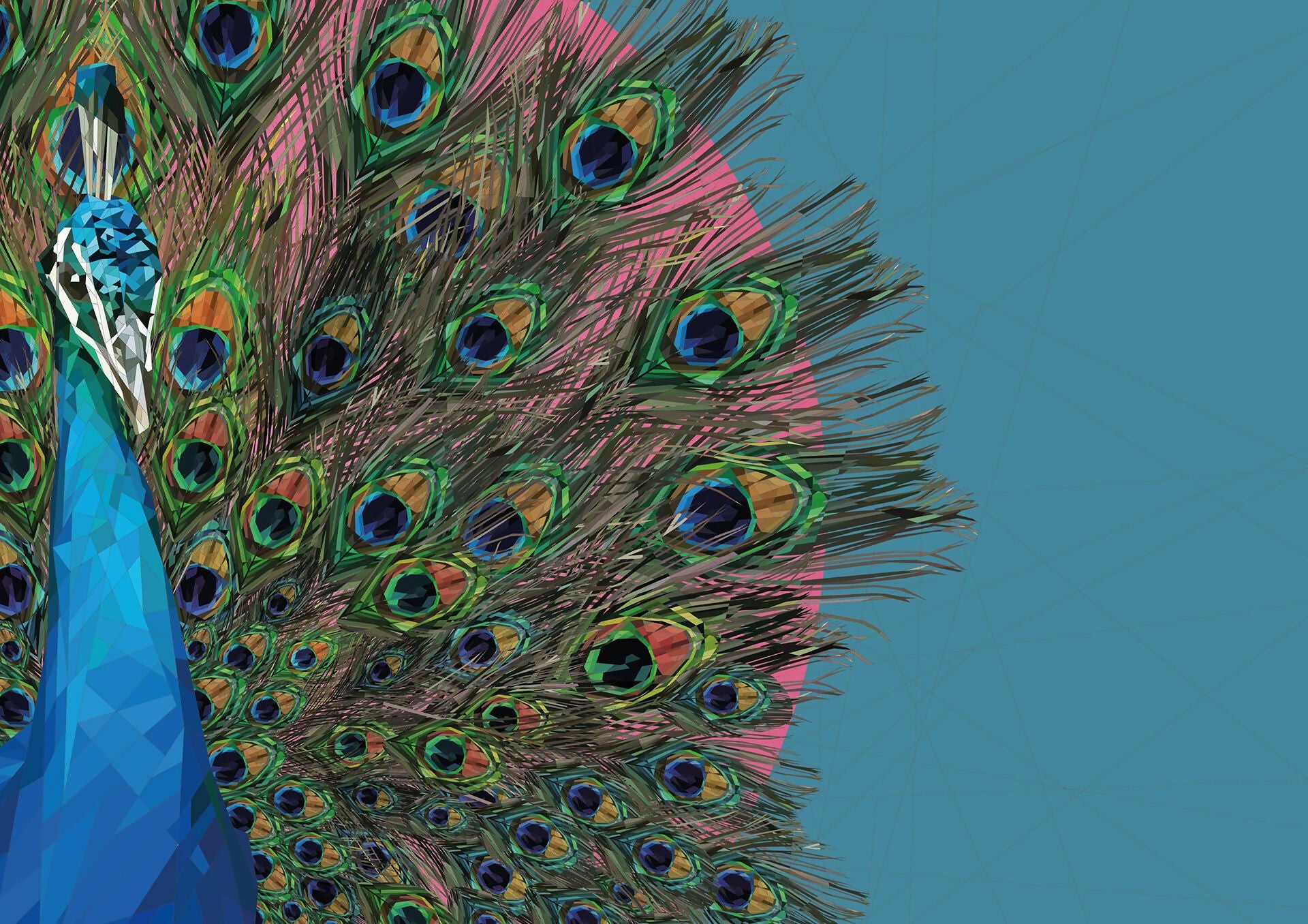 The Stunning Peacock in all His Glory - Giclee Print