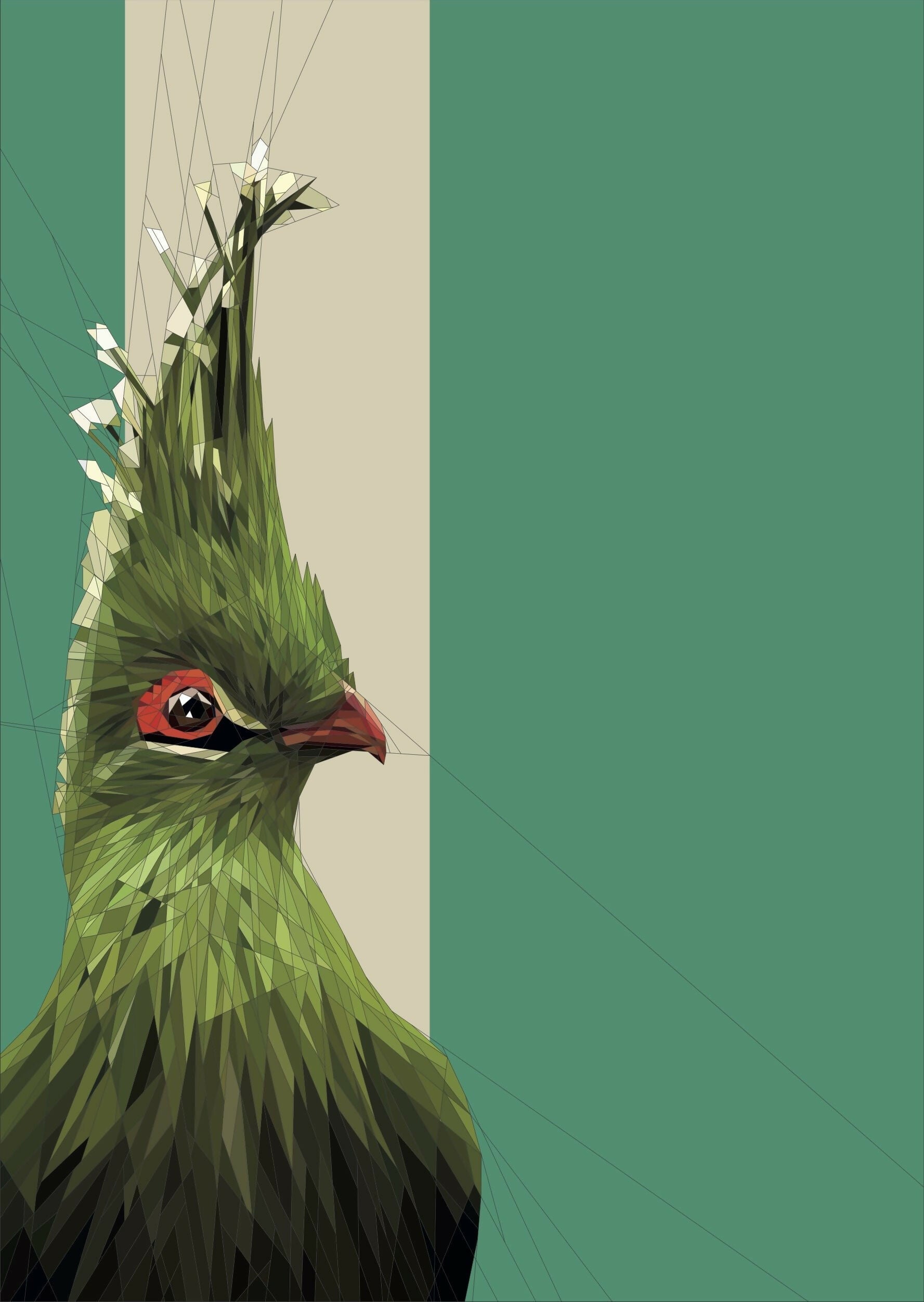 Super Cute Turaco with a Jade Green Background A3 / A2 / A1 Giclee Print