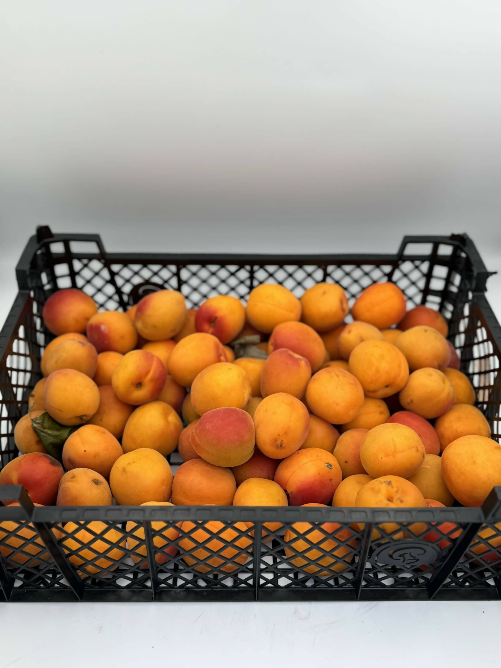 Apricots (per kg)